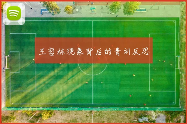 王哲林现象背后的青训反思