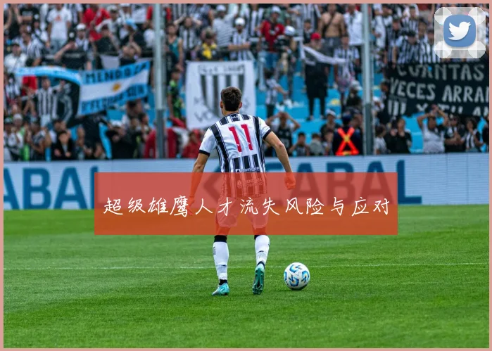 超级雄鹰人才流失风险与应对