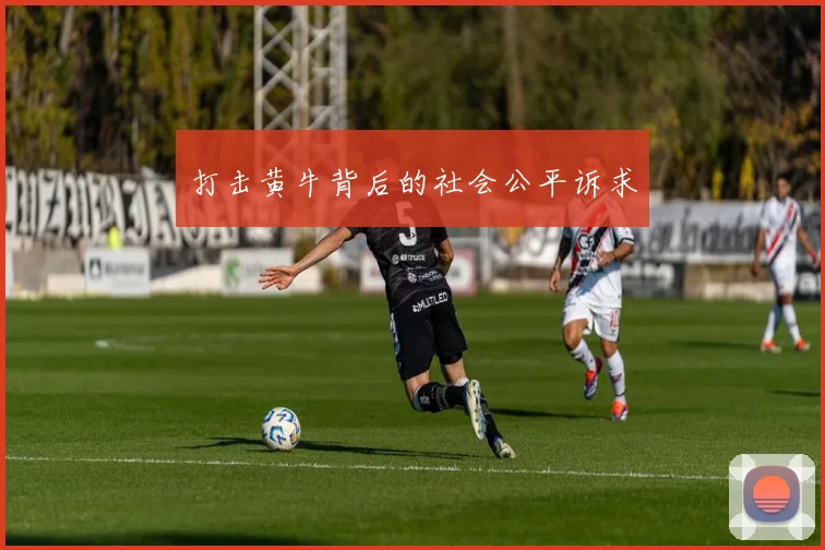 打击黄牛背后的社会公平诉求