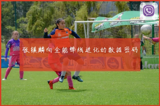 张镇麟向全能锋线进化的数据密码